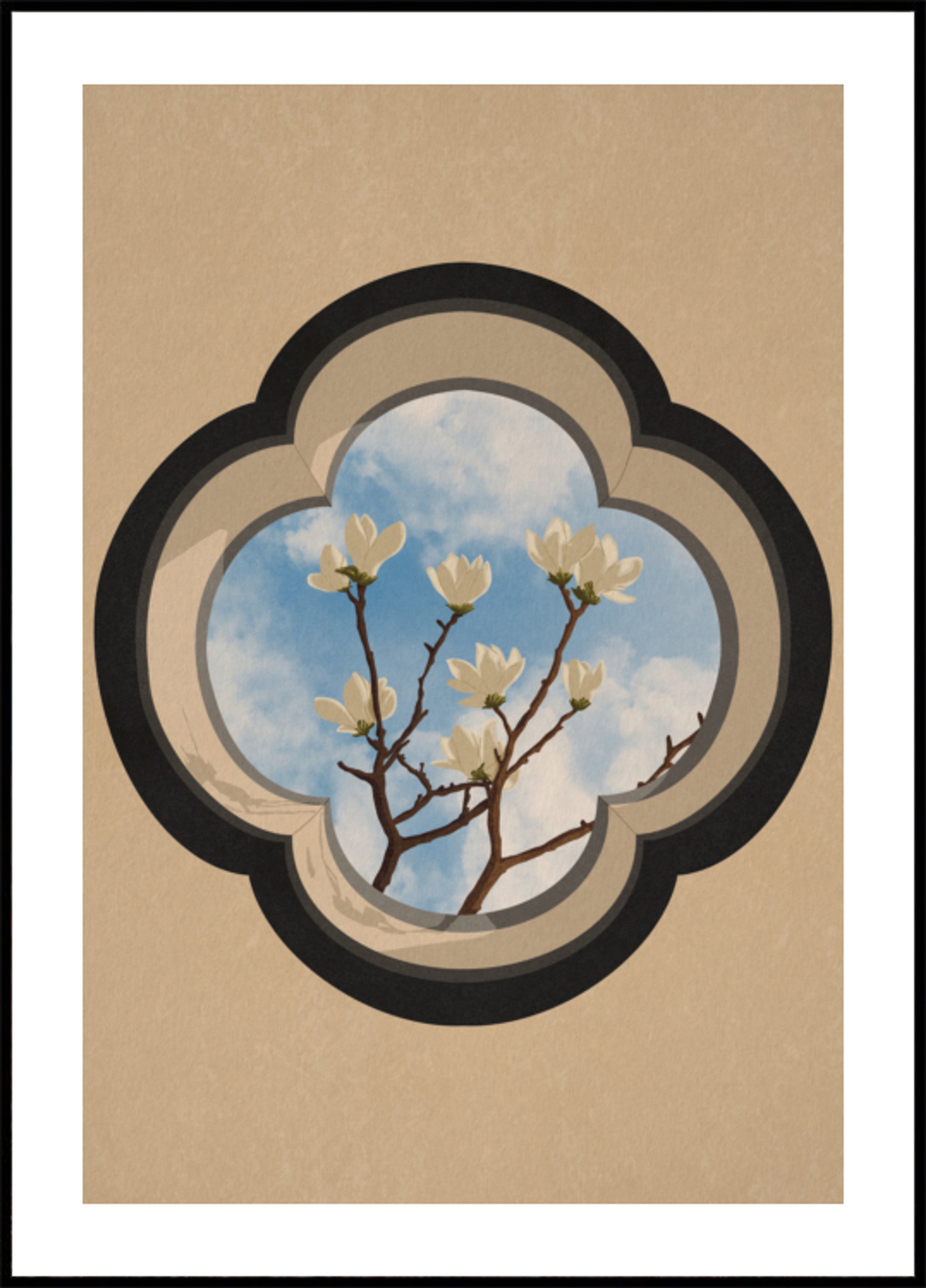 Finestra del cielo della magnolia