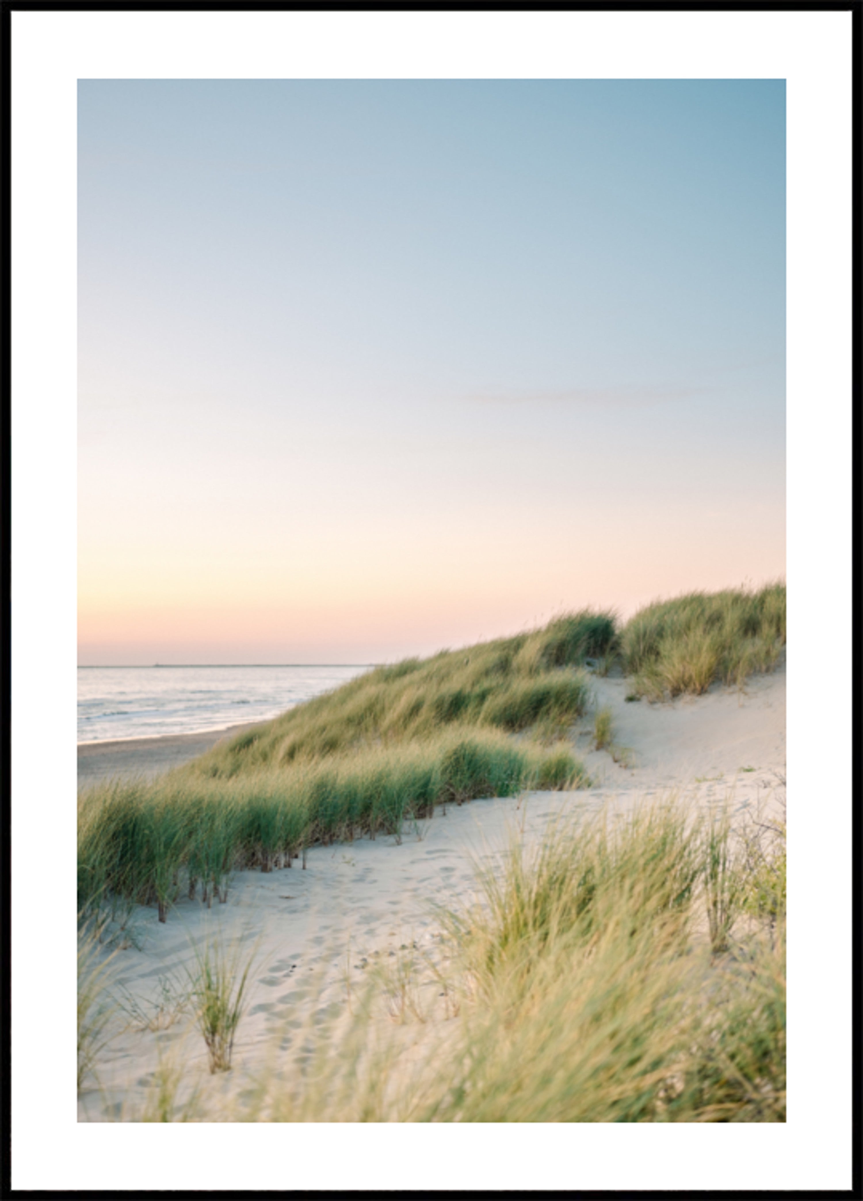 Dune olandesi