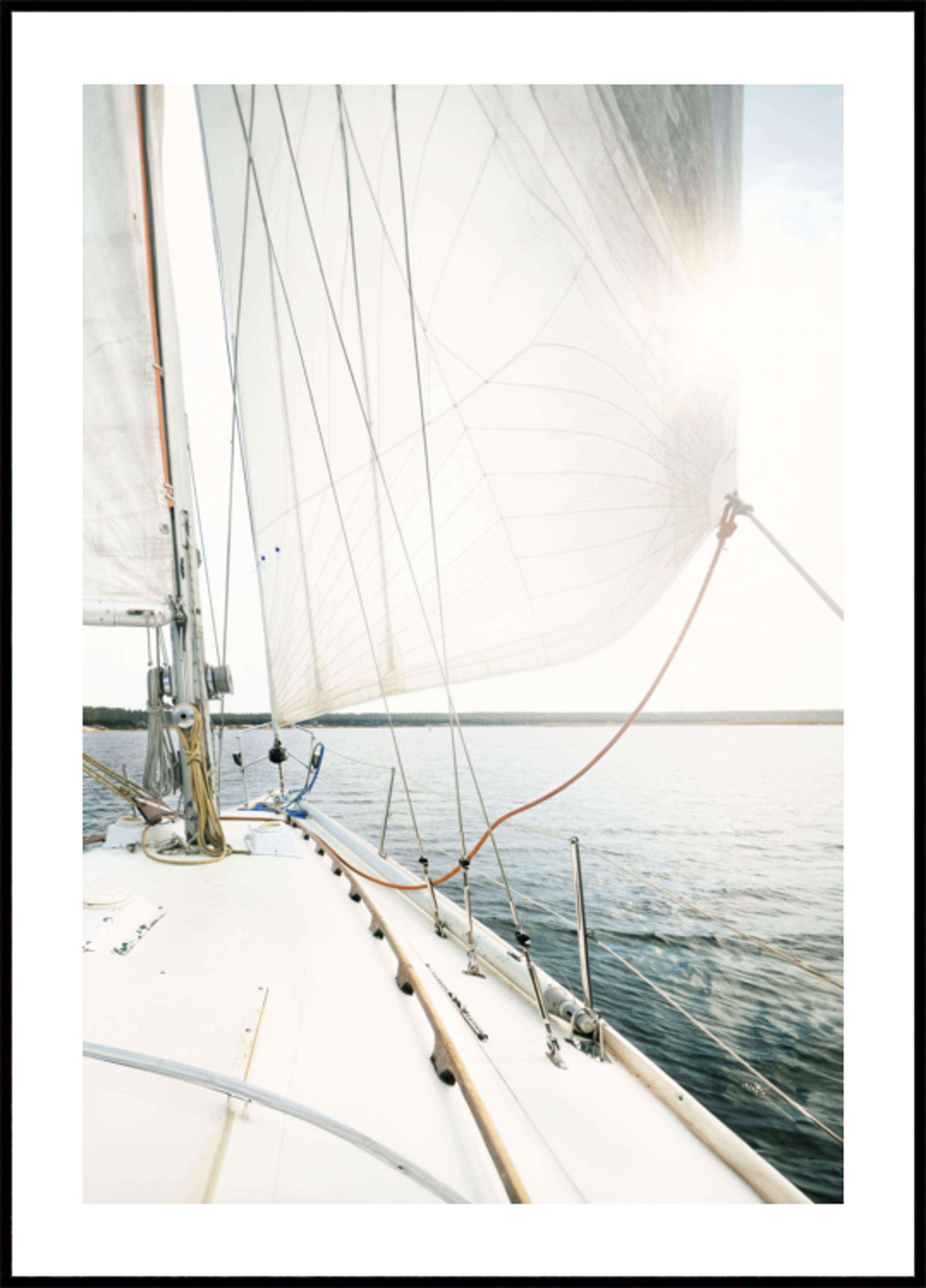 Salpa via