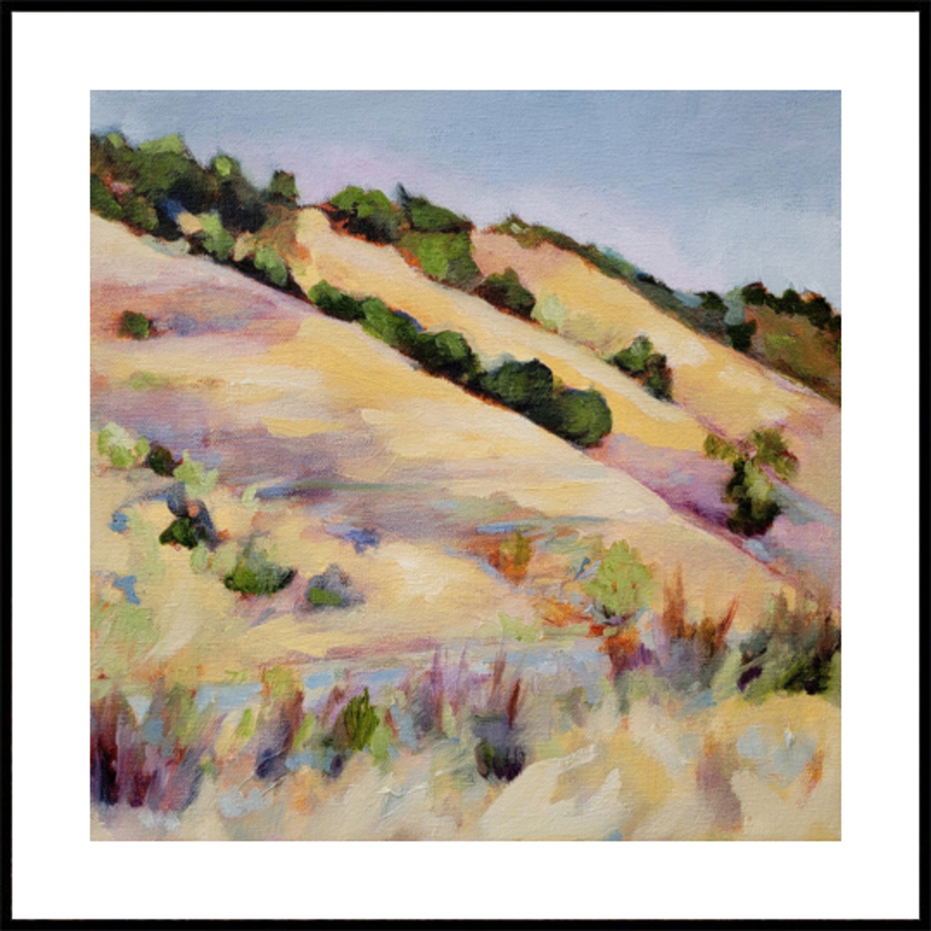 Colline dorate dell'estate
