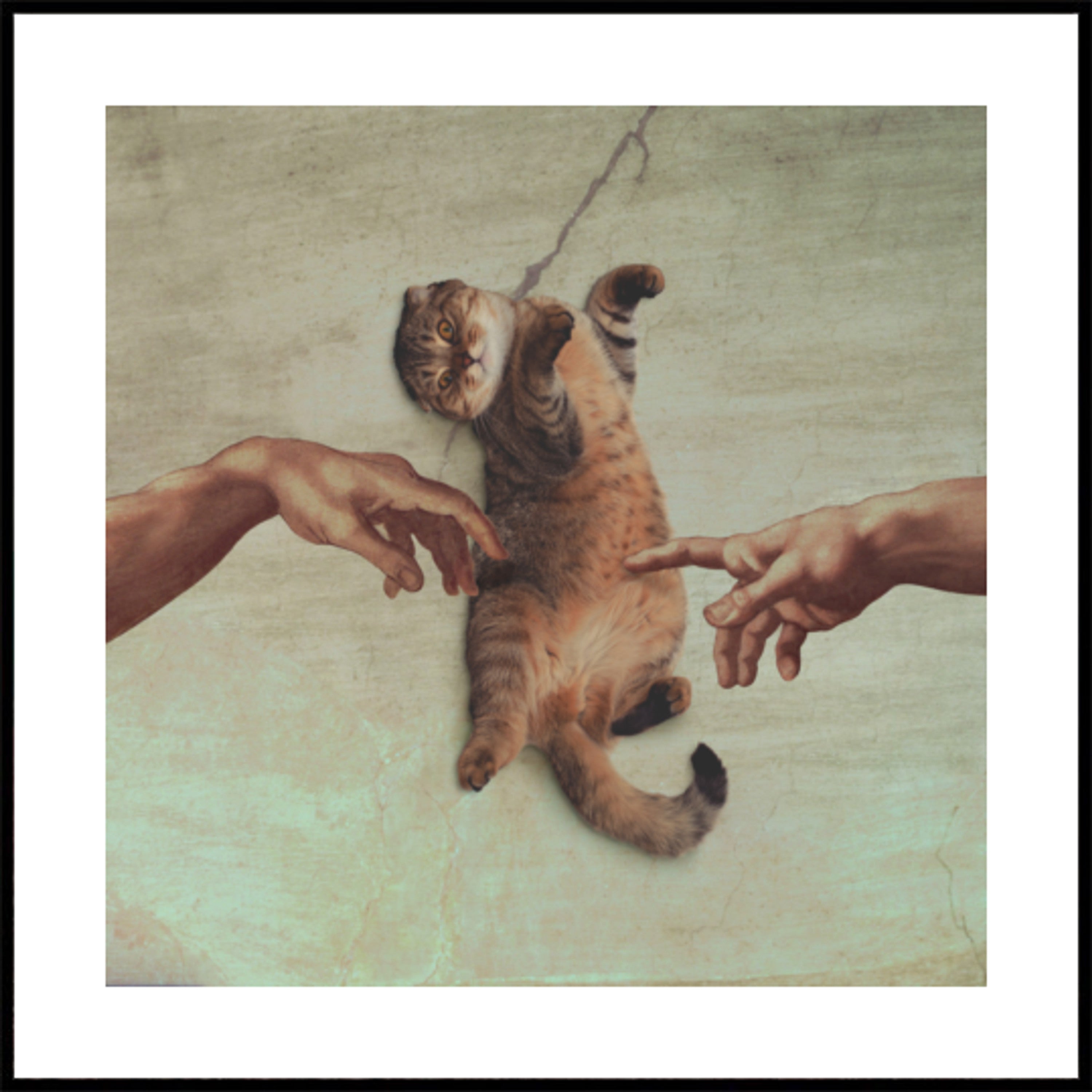 La creazione del gatto