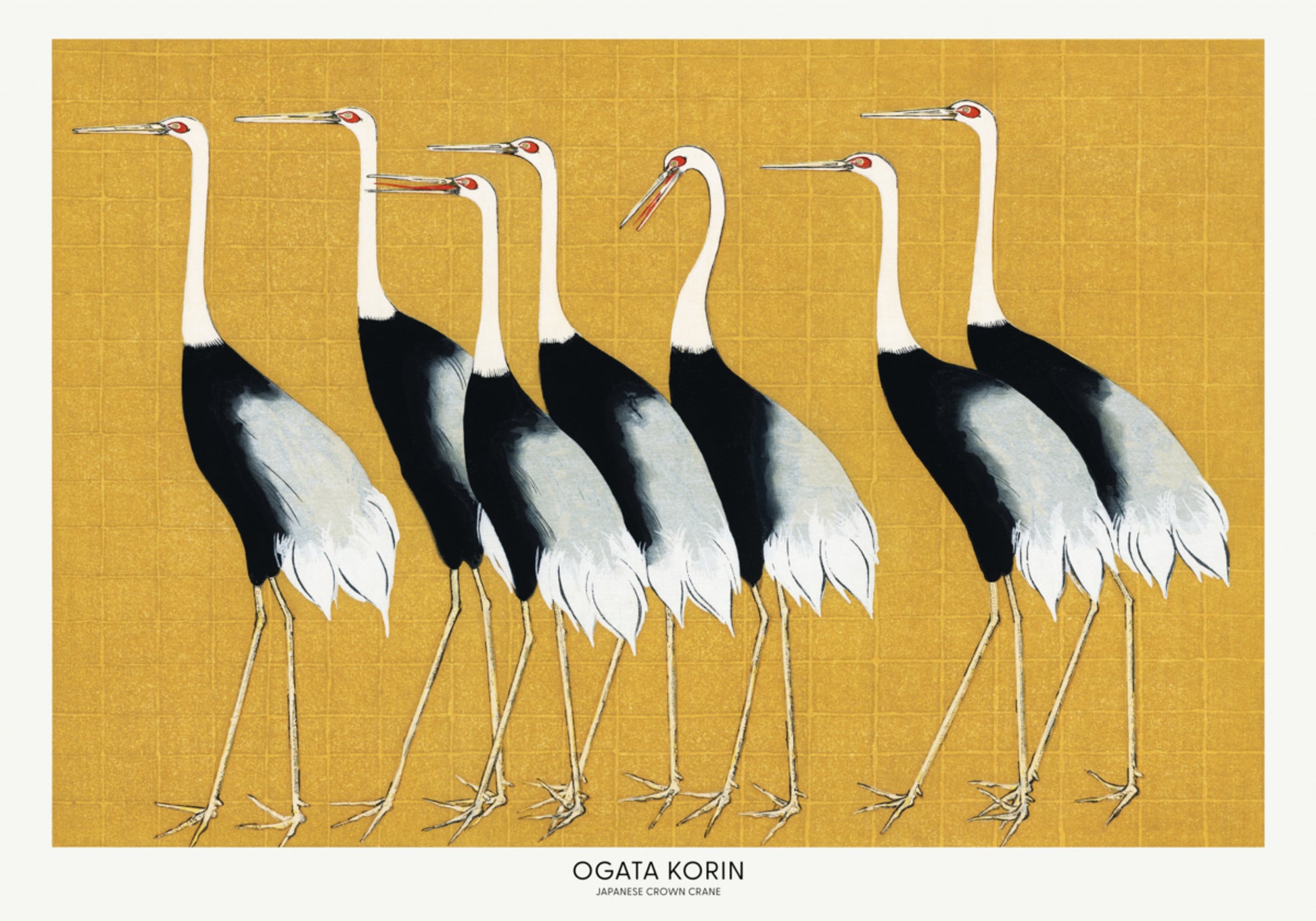 Gru coronata rossa giapponese