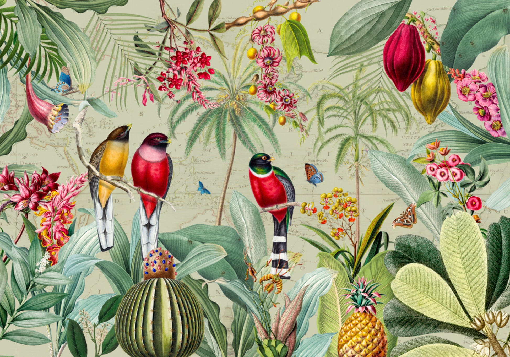Uccelli della giungla tropicale