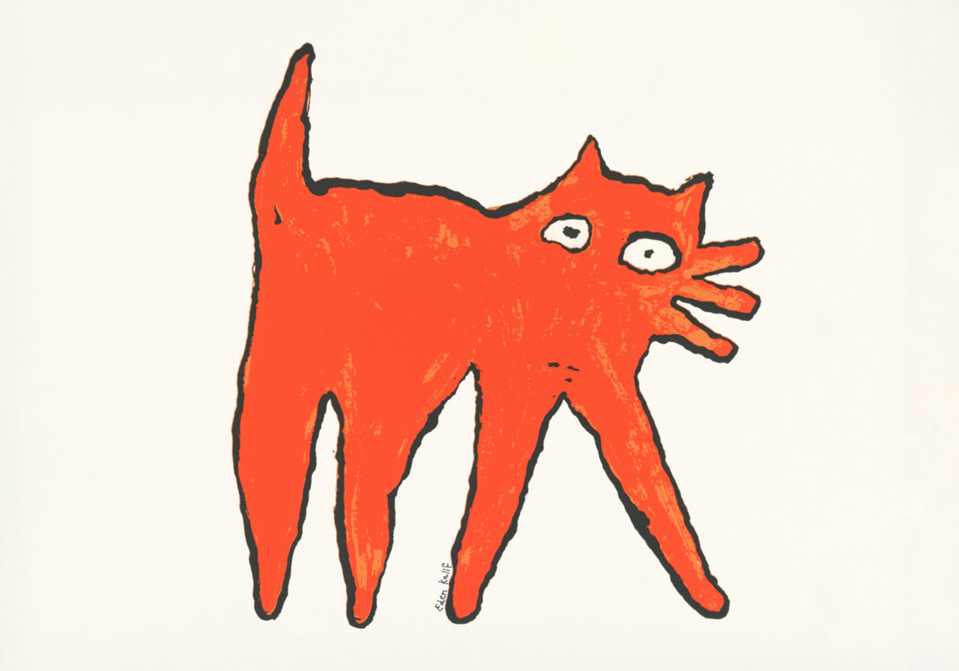 Gatto arancione