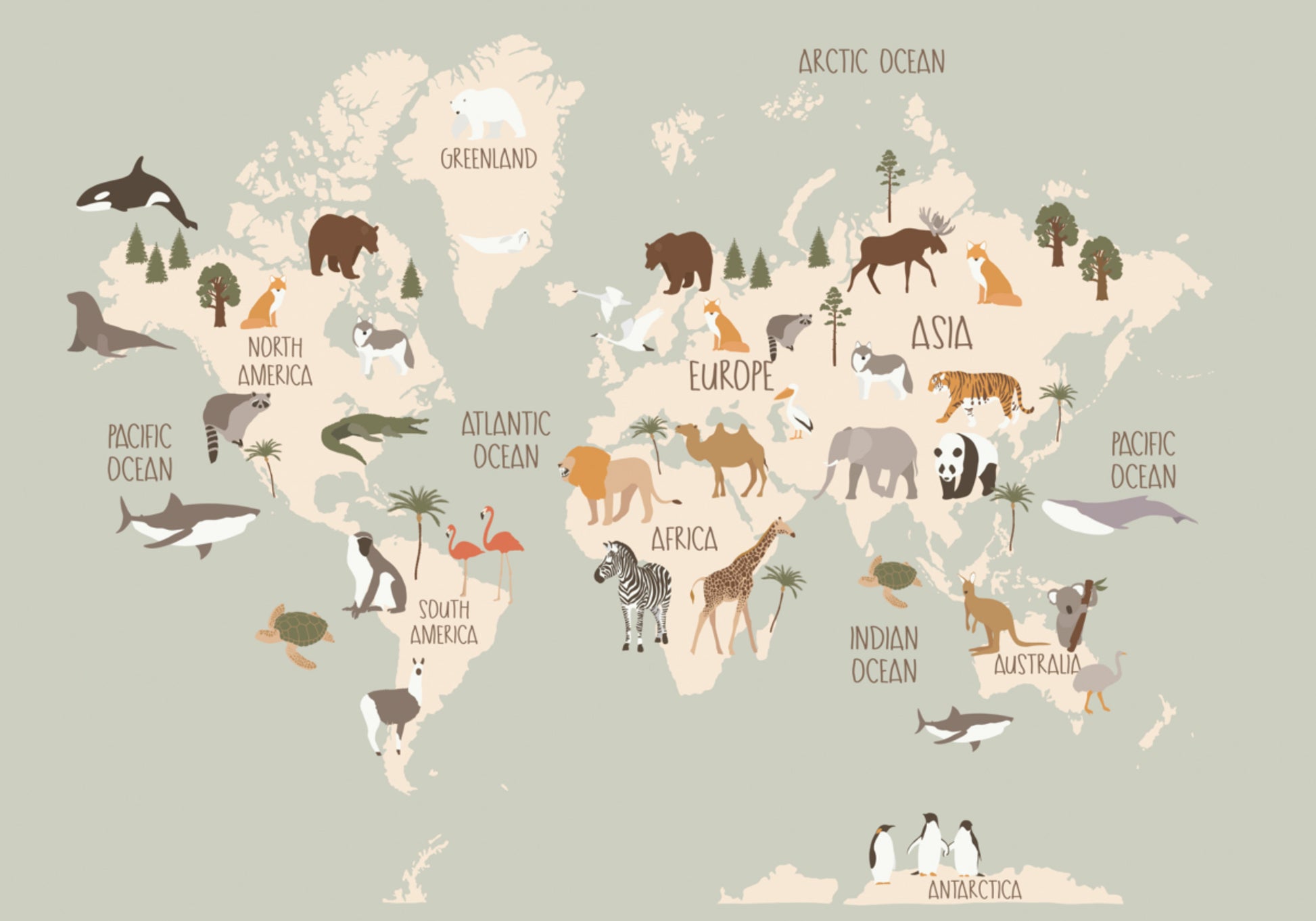 Mappa del mondo della fauna selvatica
