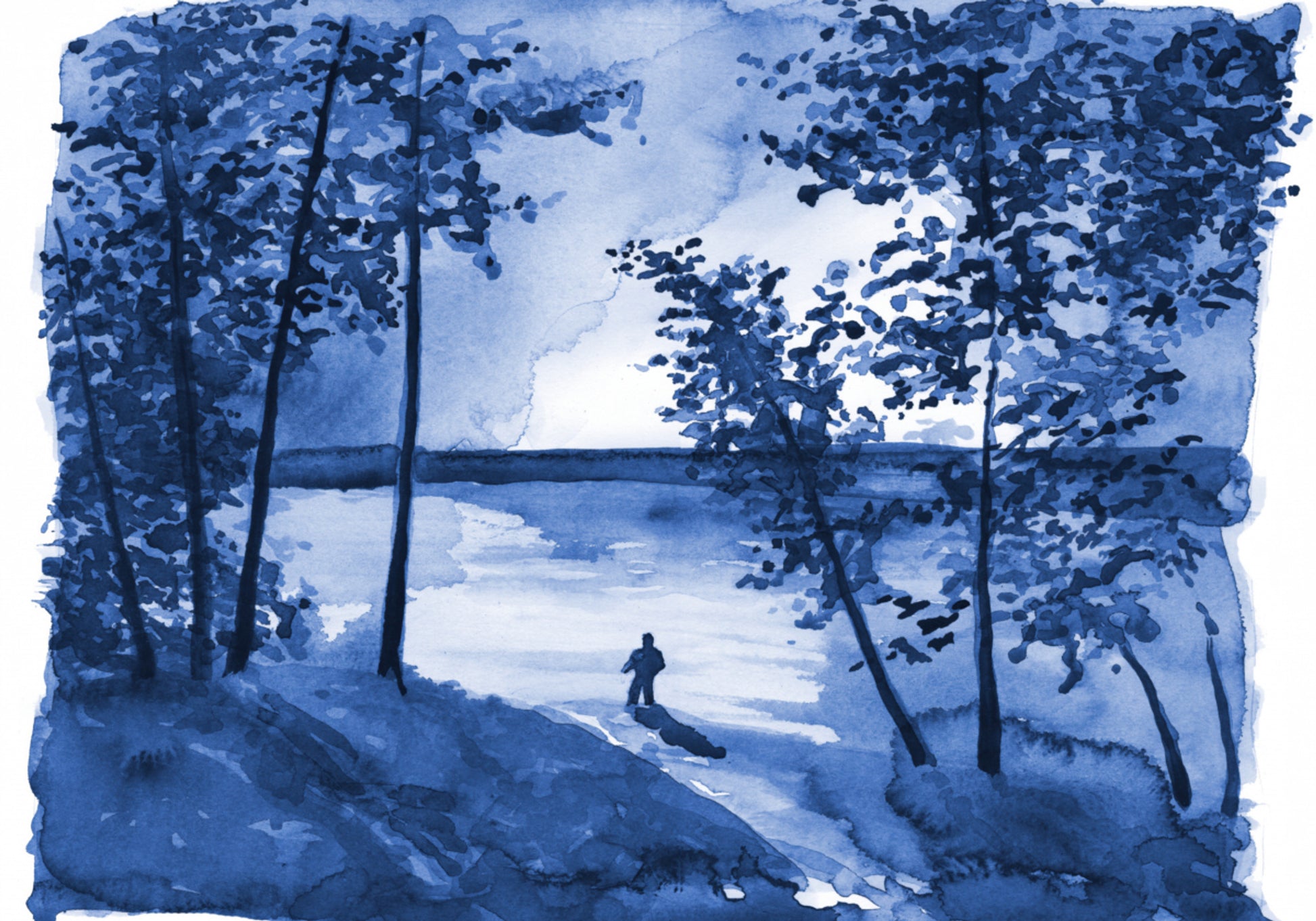 Solitudine del lago della foresta blu