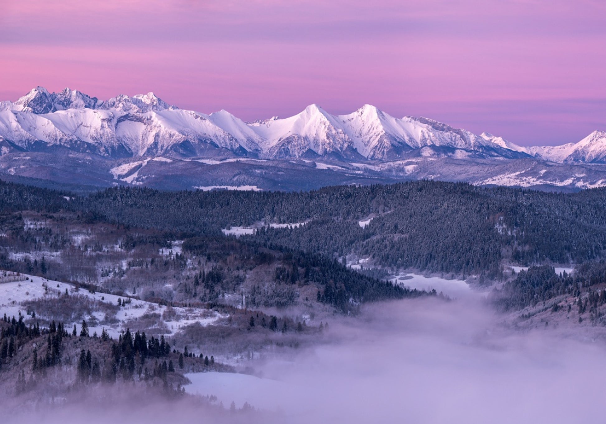 Alba di montagna viola