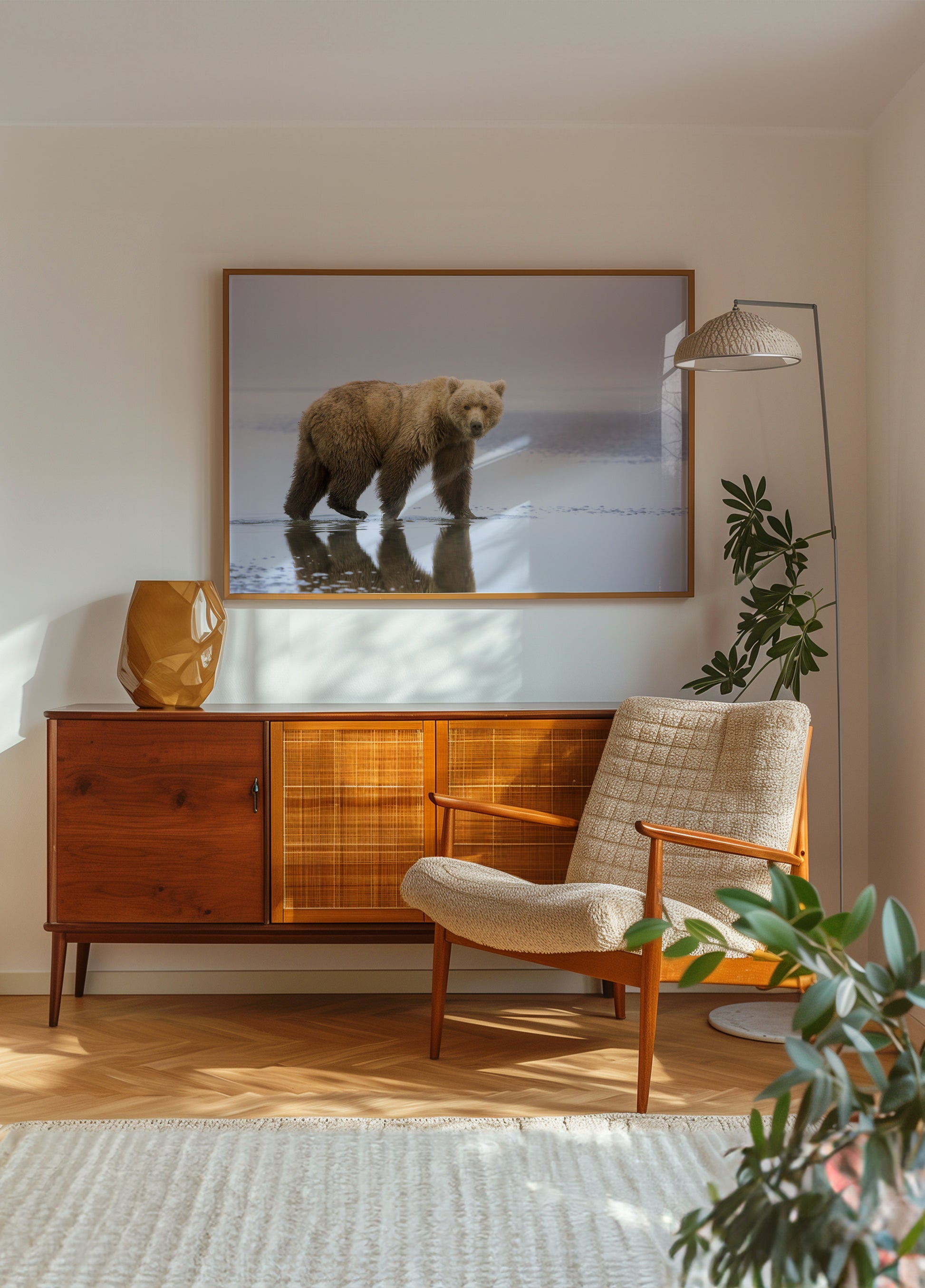 Riflessione dell'orso bruno