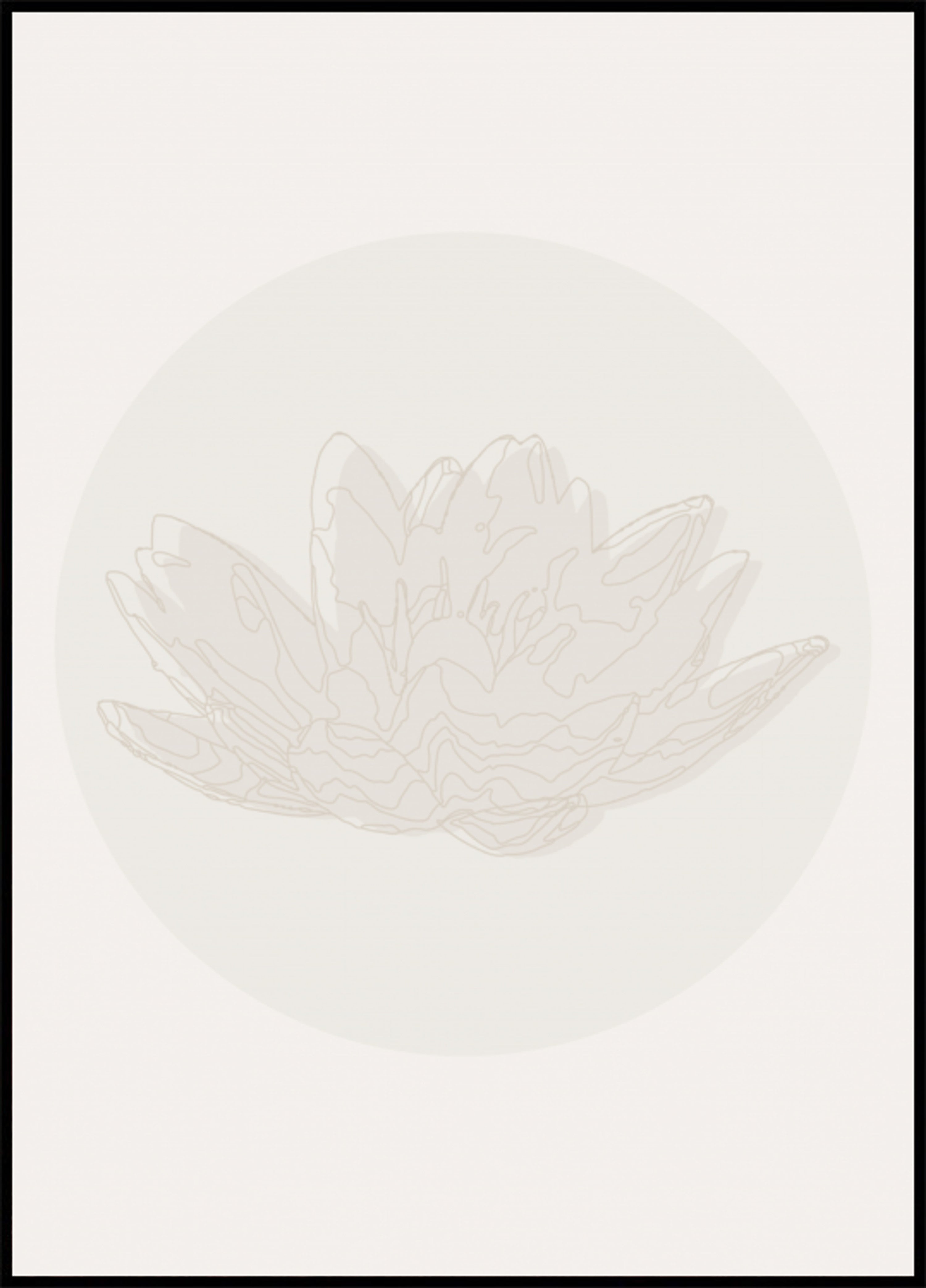 Fiore di loto sereno