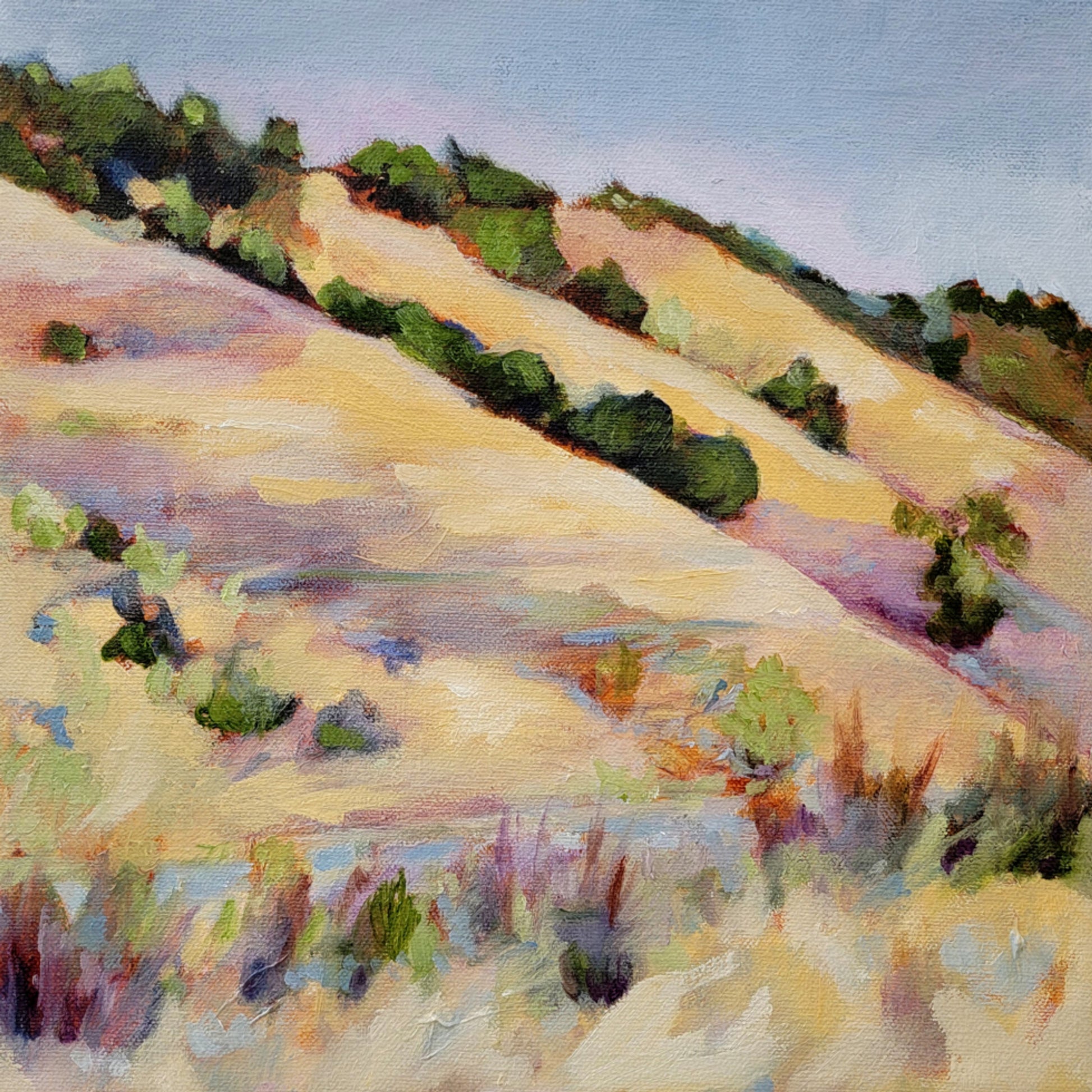 Colline dorate dell'estate
