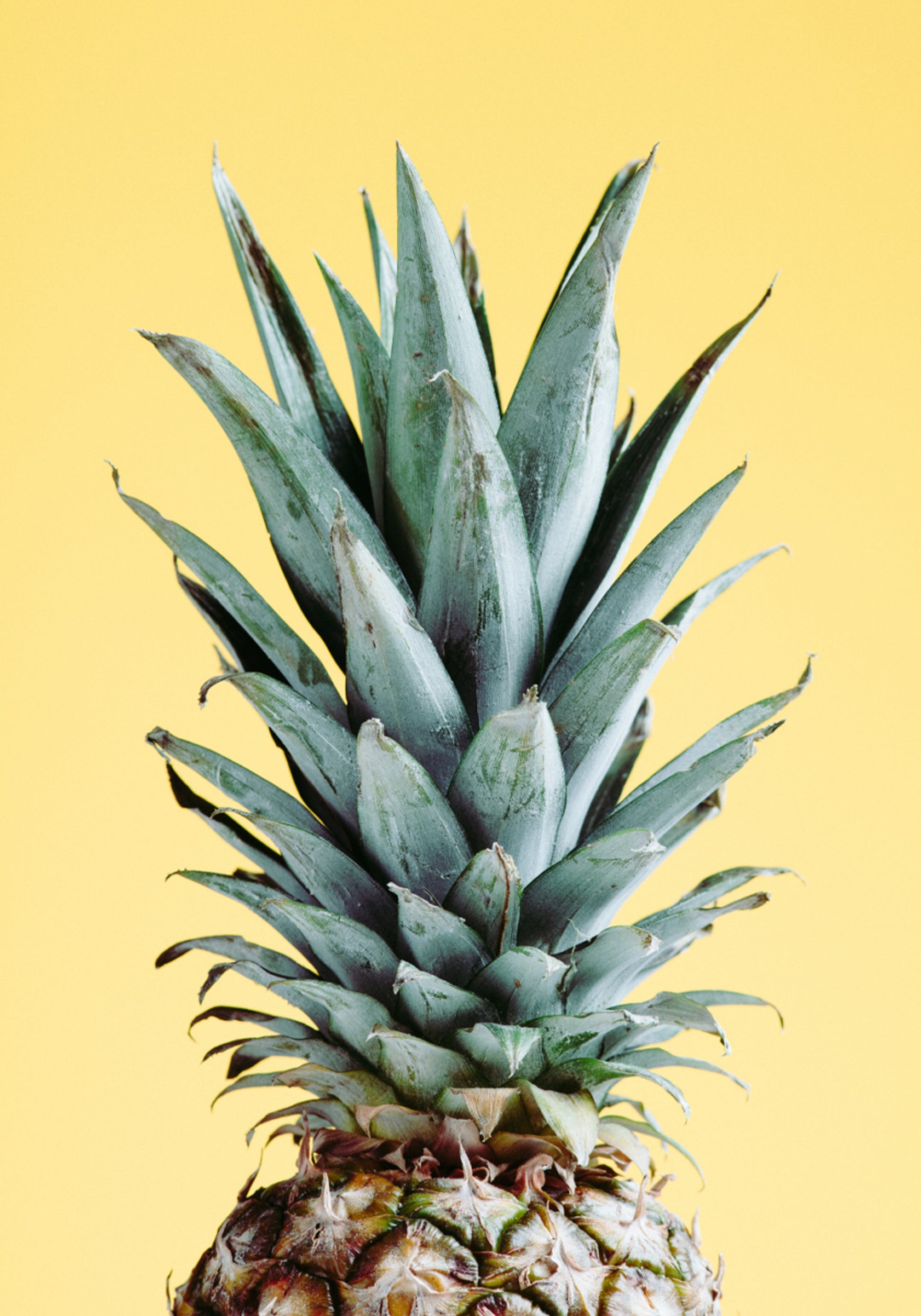 Giallo ananas tropicale