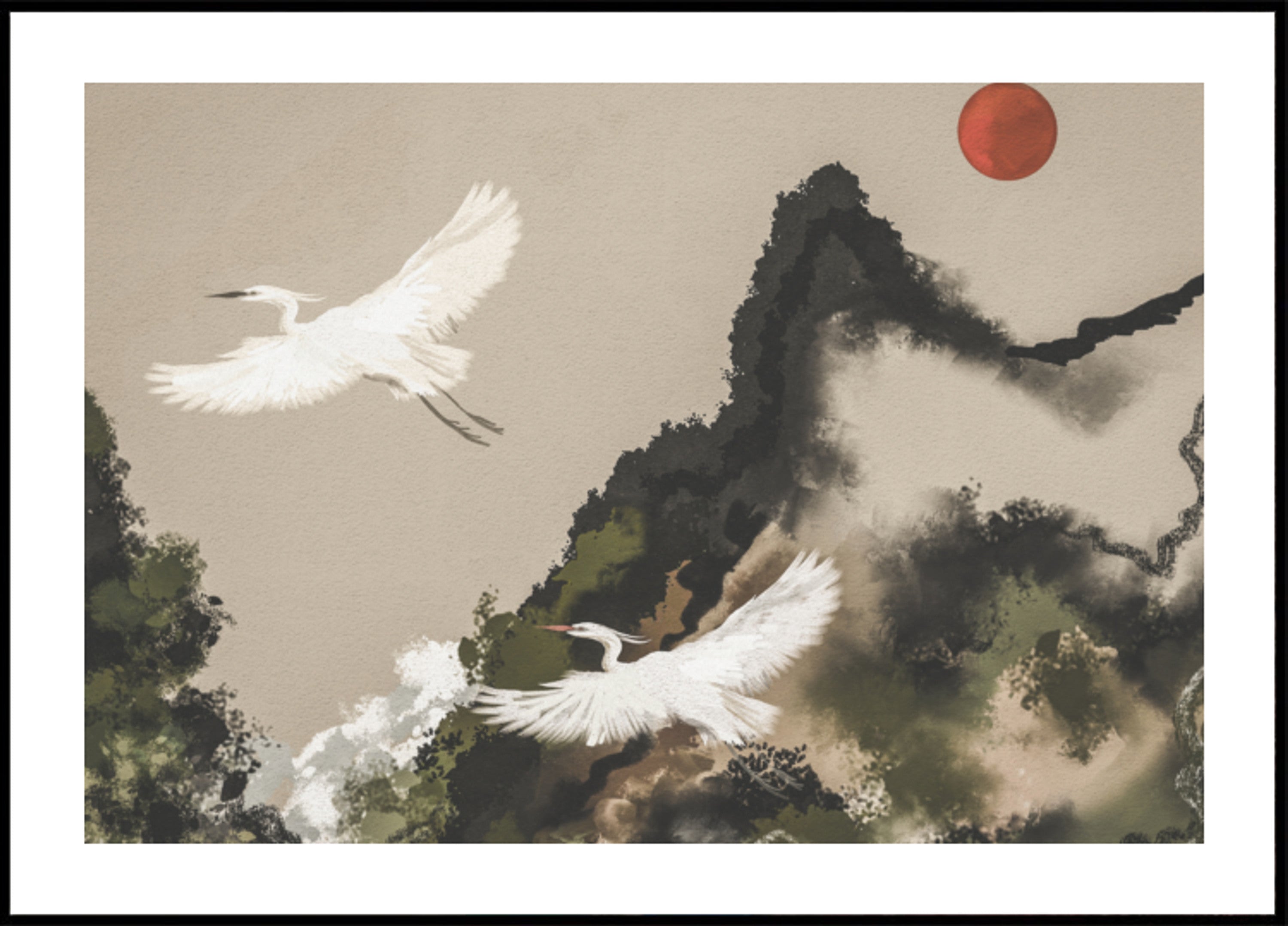 Volo dell'egretta del Sole Rosso