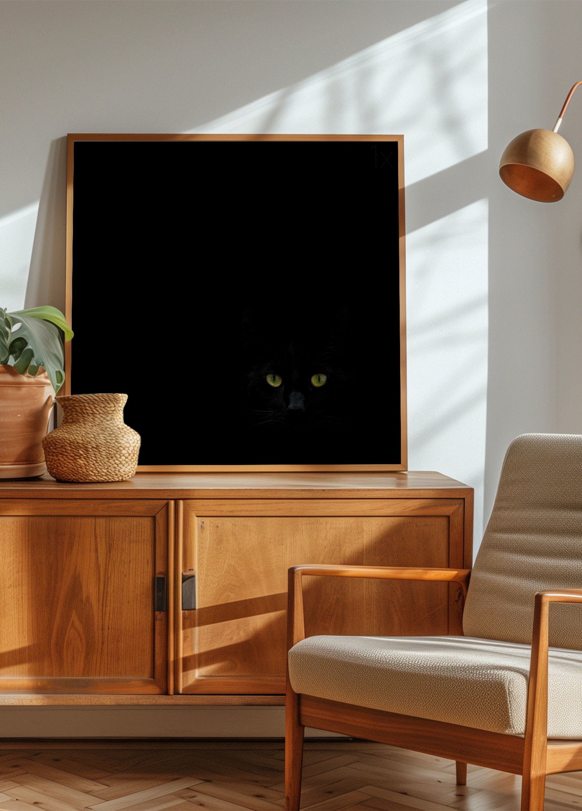 Lo sguardo del gatto nero