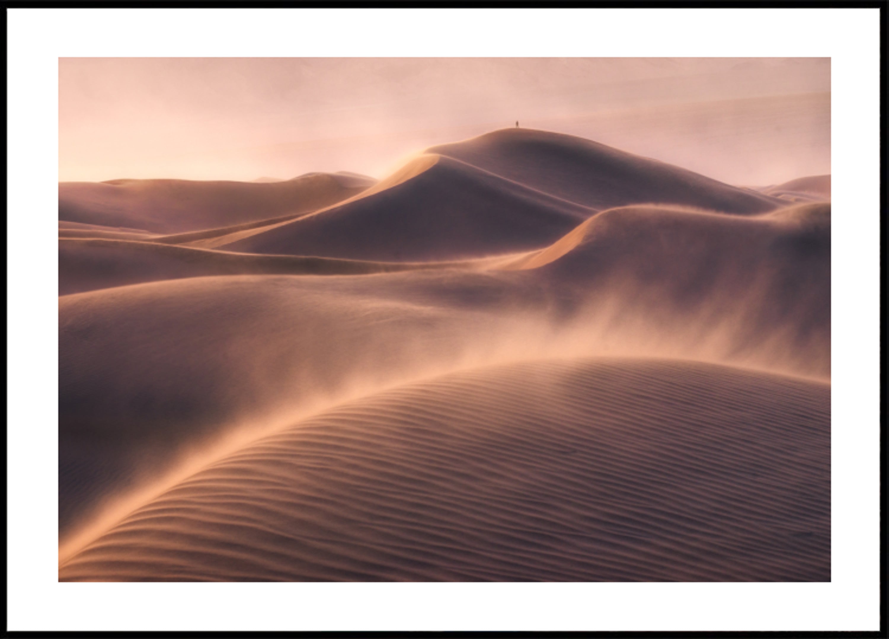 Solitudine del deserto dorato