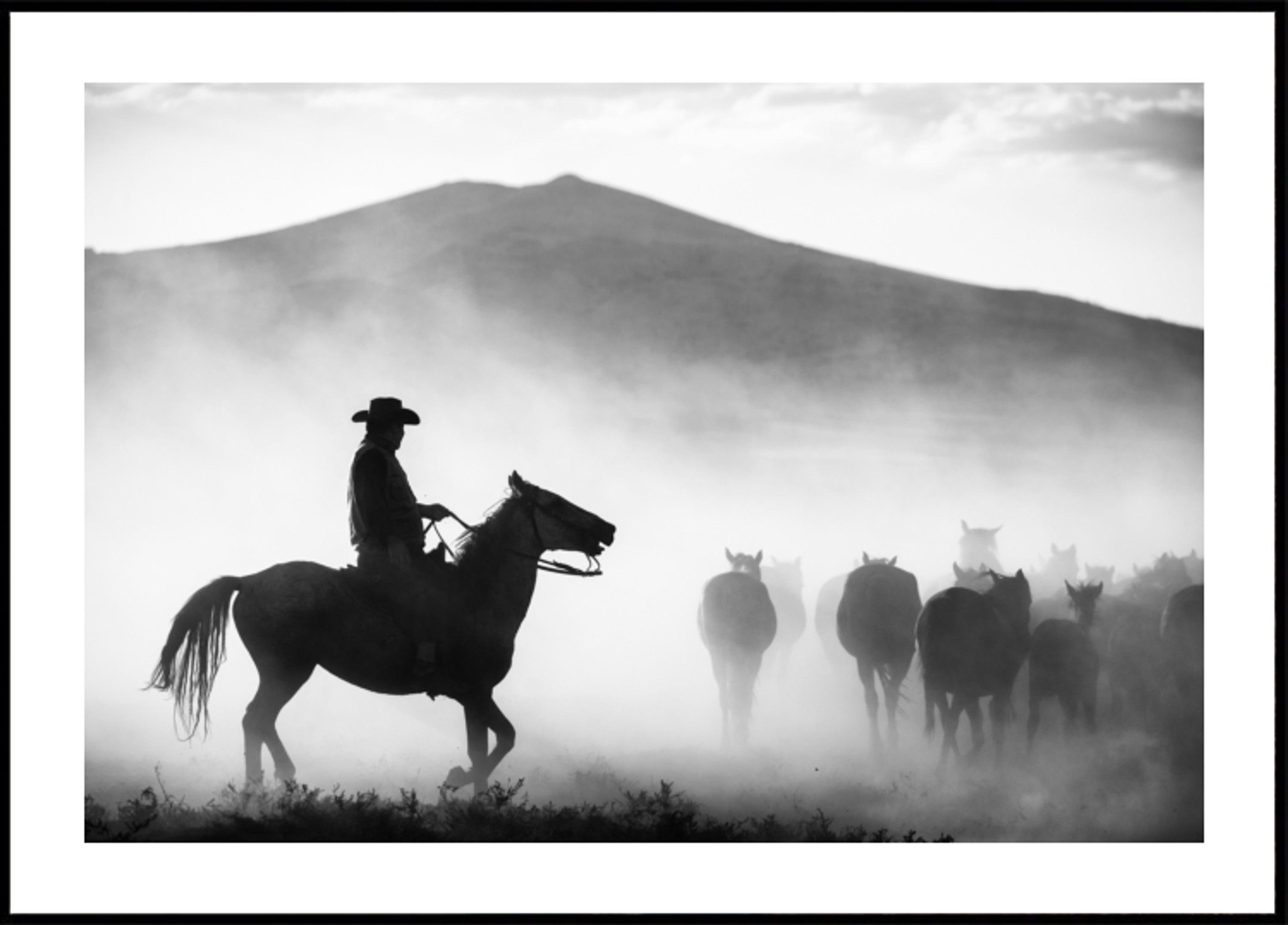 Cowboy che raduna i cavalli