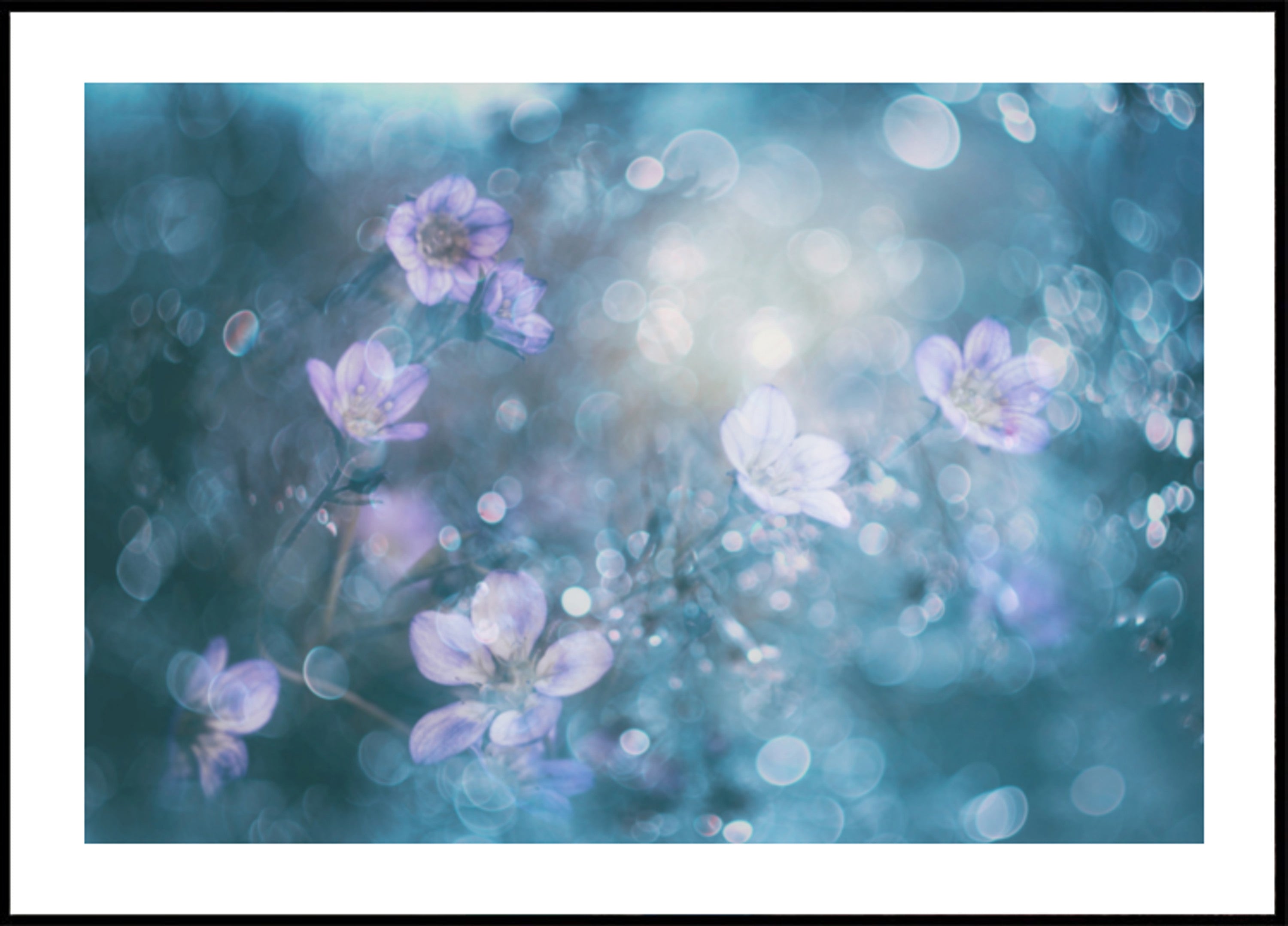 Fiori Bokeh da sogno
