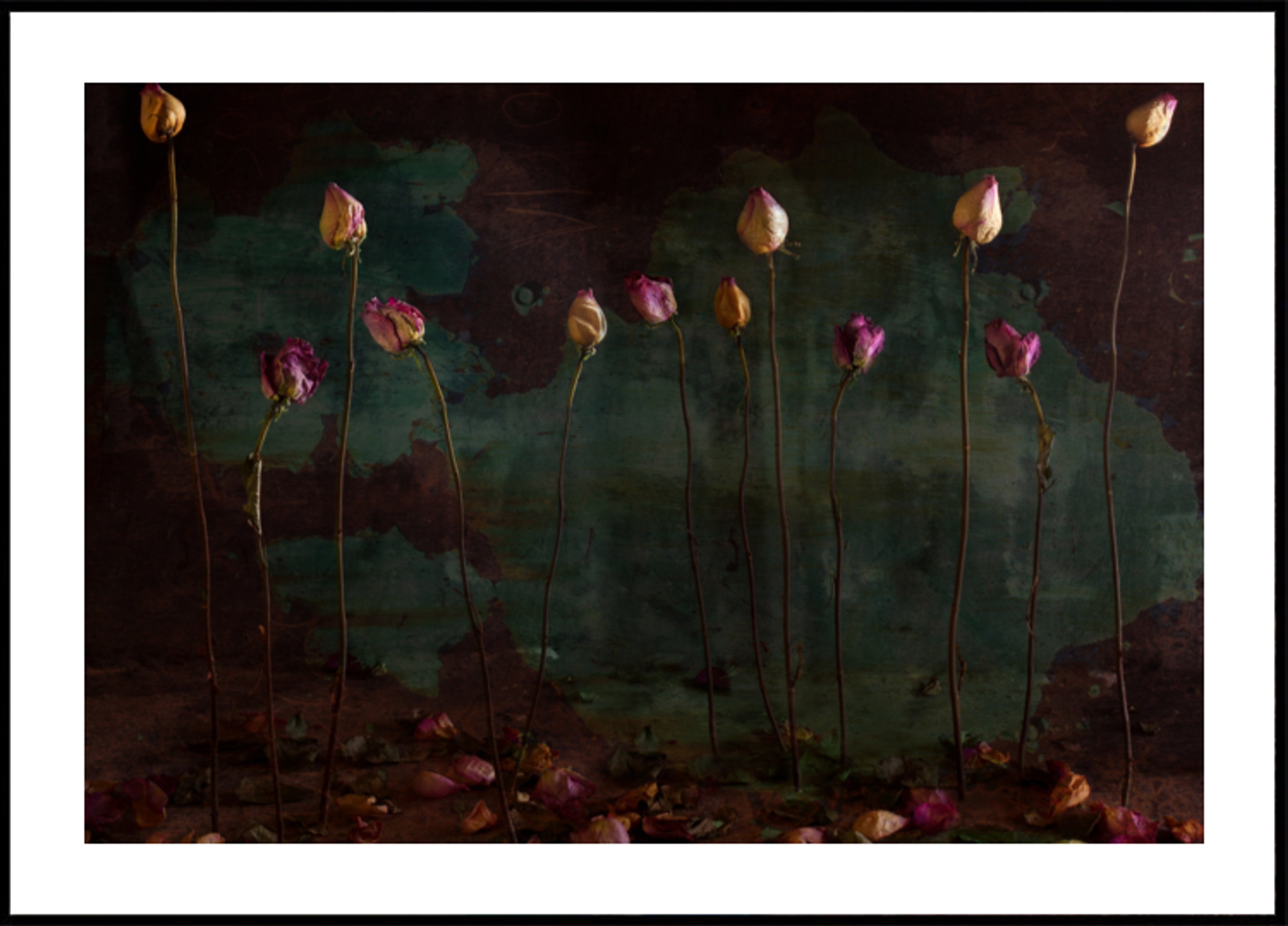 Rose secche lunatiche