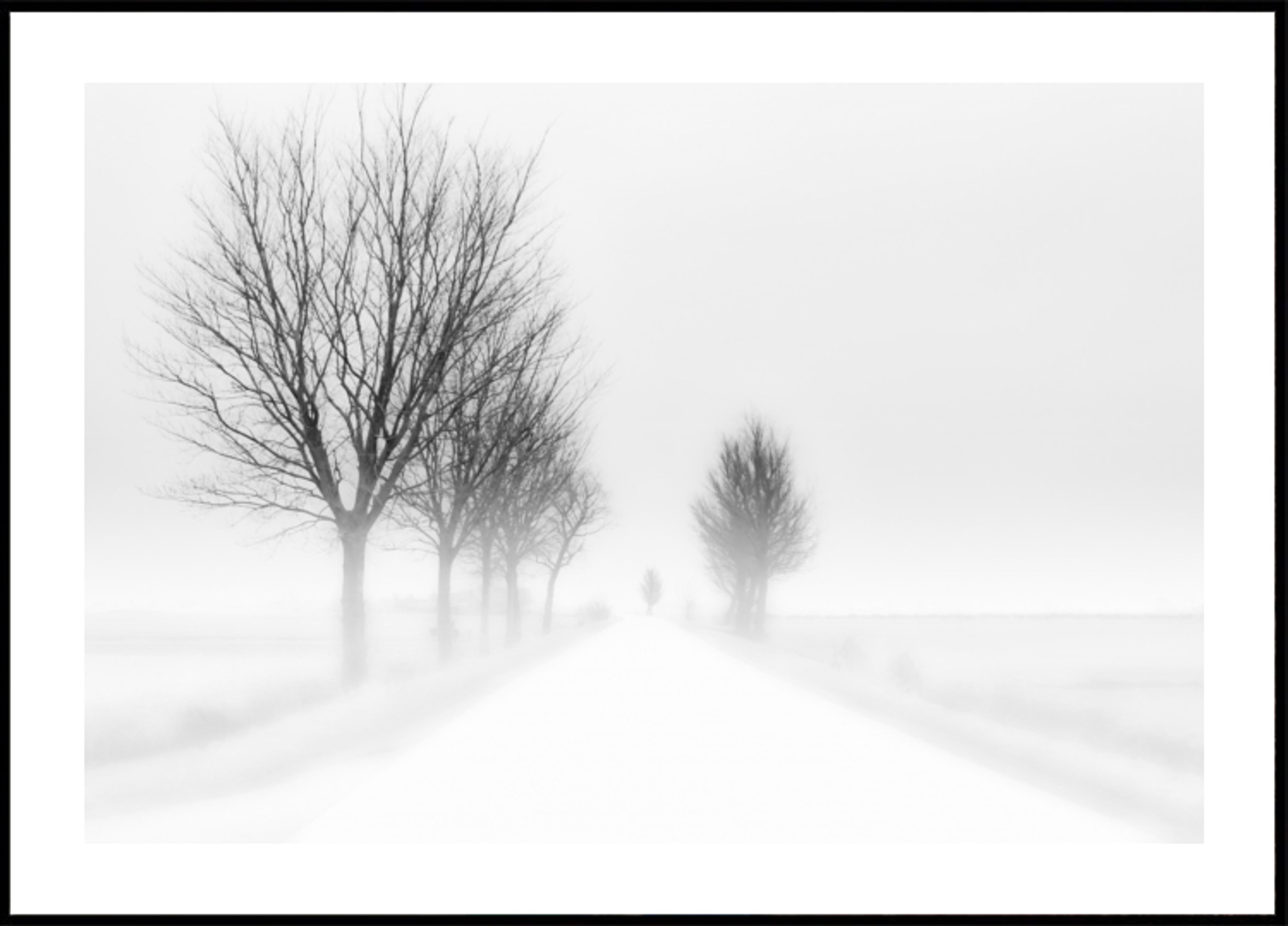 Strada invernale nebbiosa