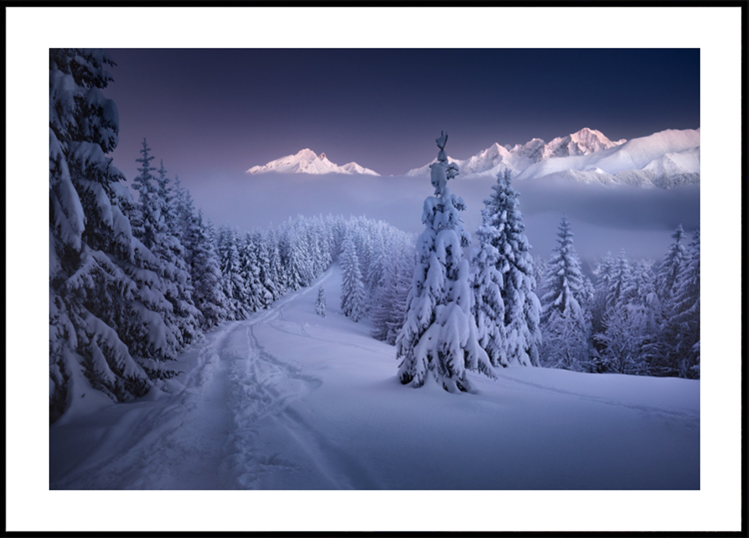 Sentiero di montagna nella foresta invernale