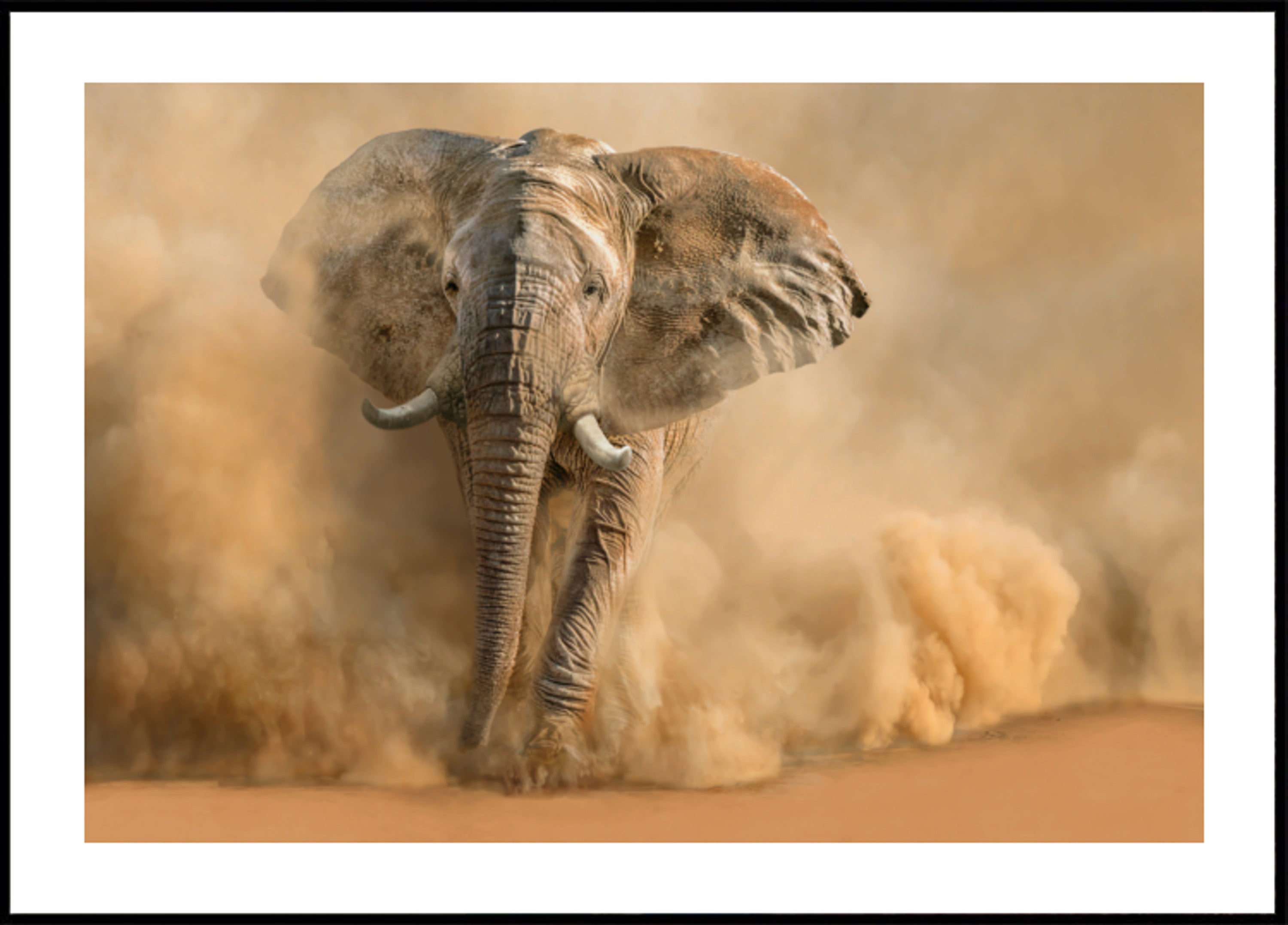 Maestosa nuvola di polvere di elefante