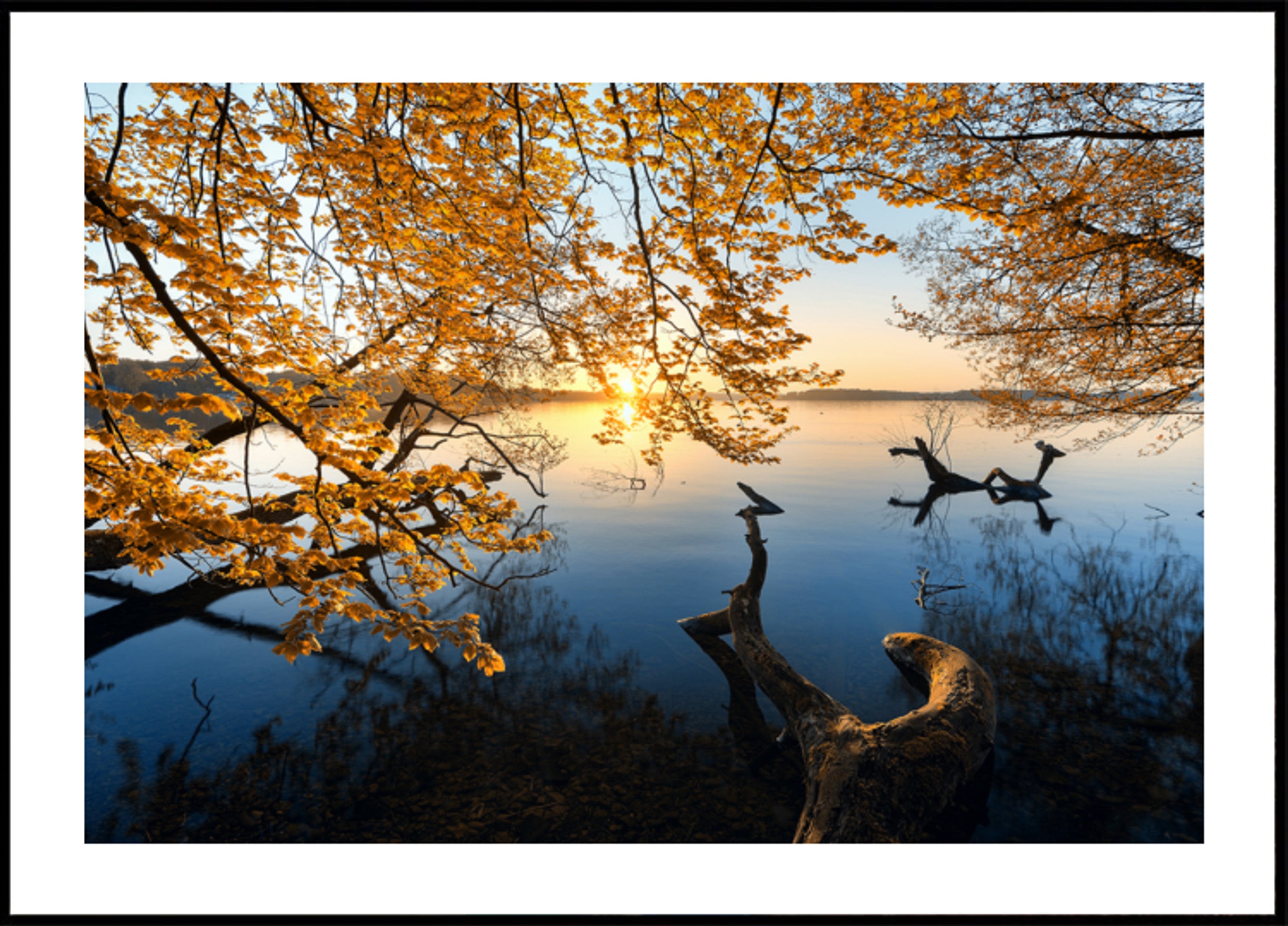 Alba dorata sul lago d'autunno
