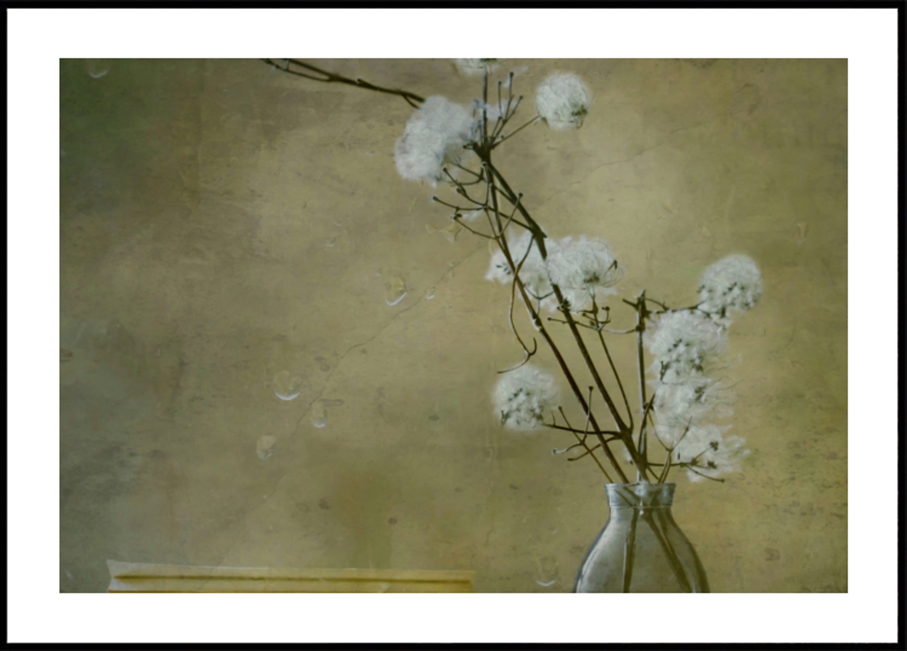 Sereni fiori soffici