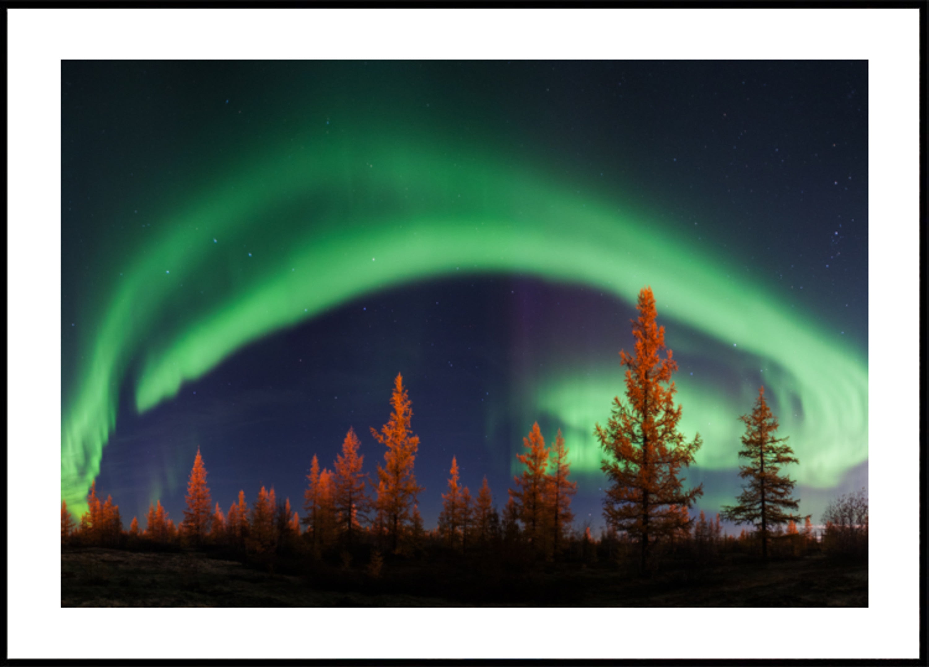Cielo notturno vibrante Aurora