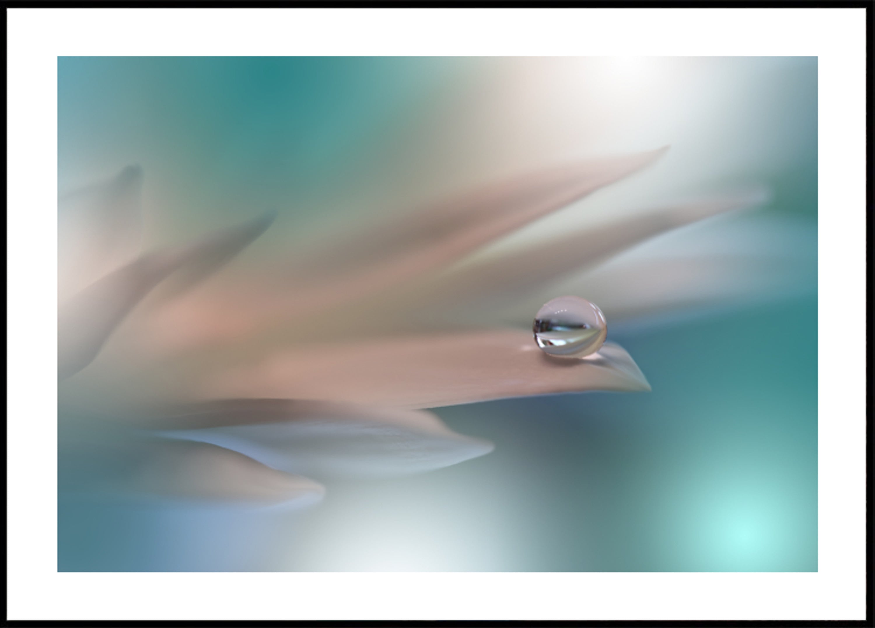 Goccia d'acqua delicata