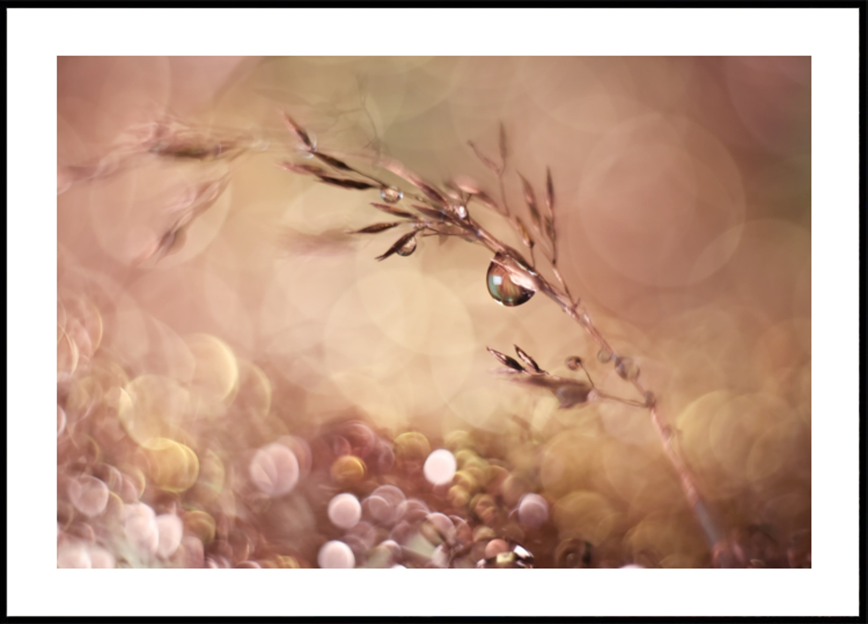 Gocce d'acqua eteree