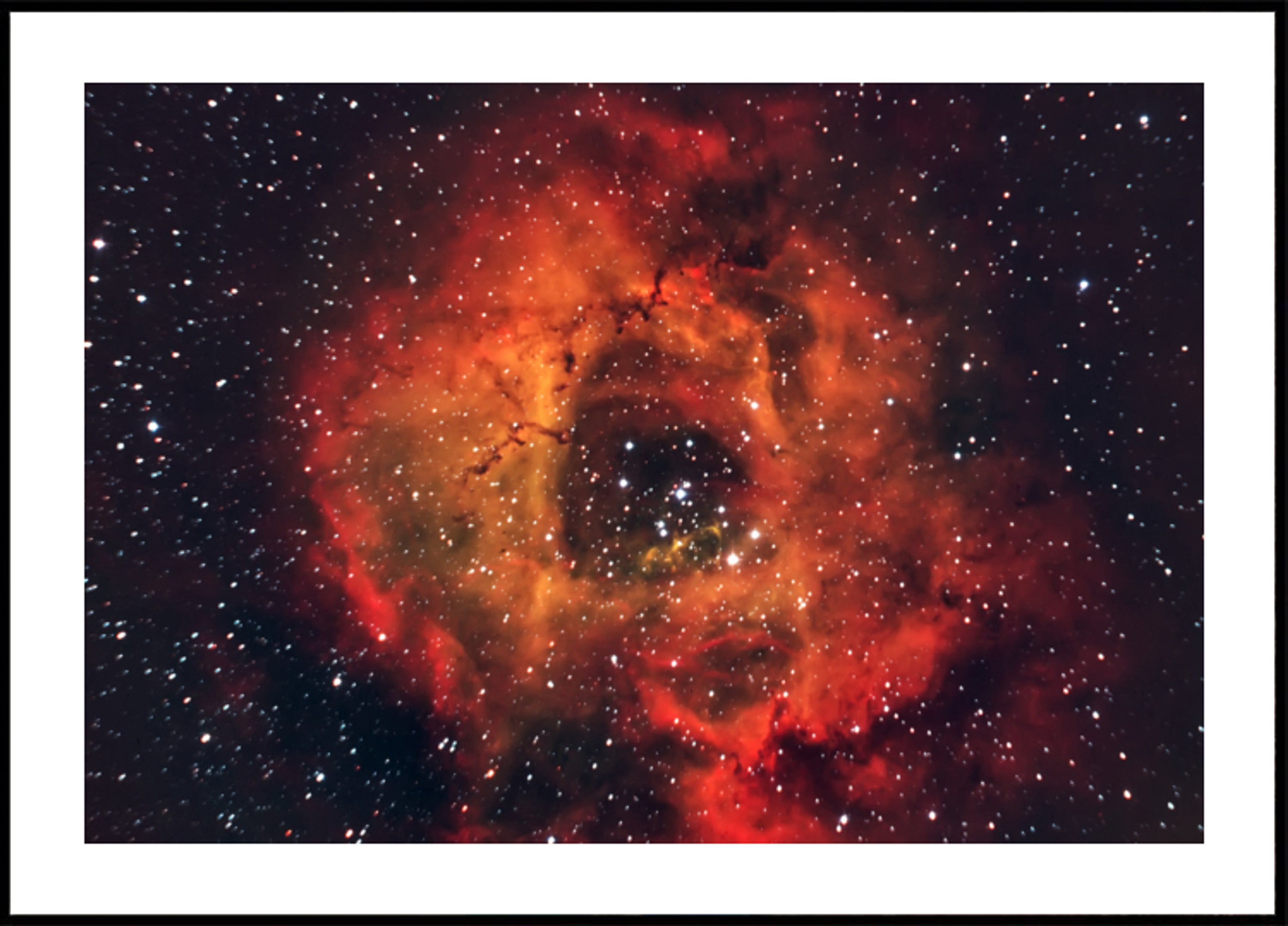 Nebulosa Rosa Cosmica