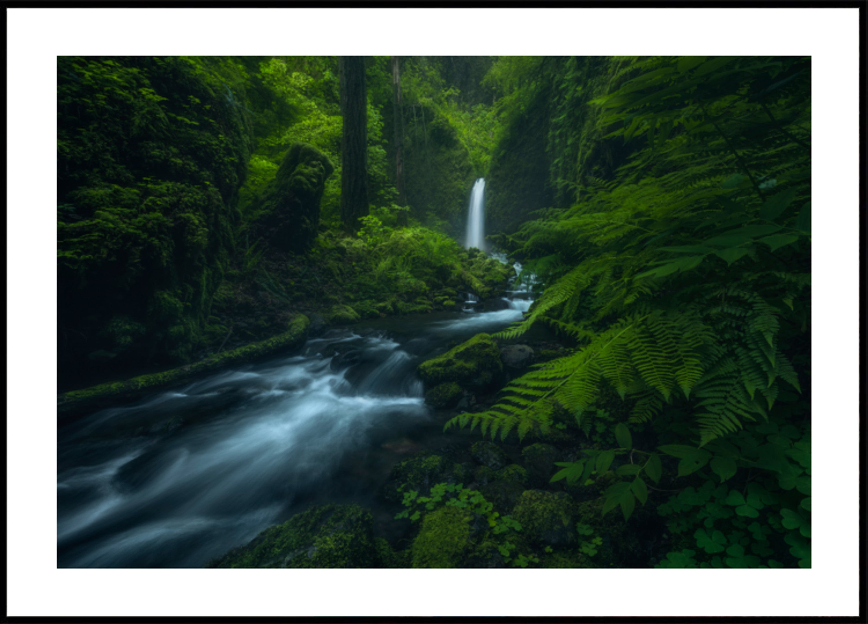 Cascate della foresta che scorre