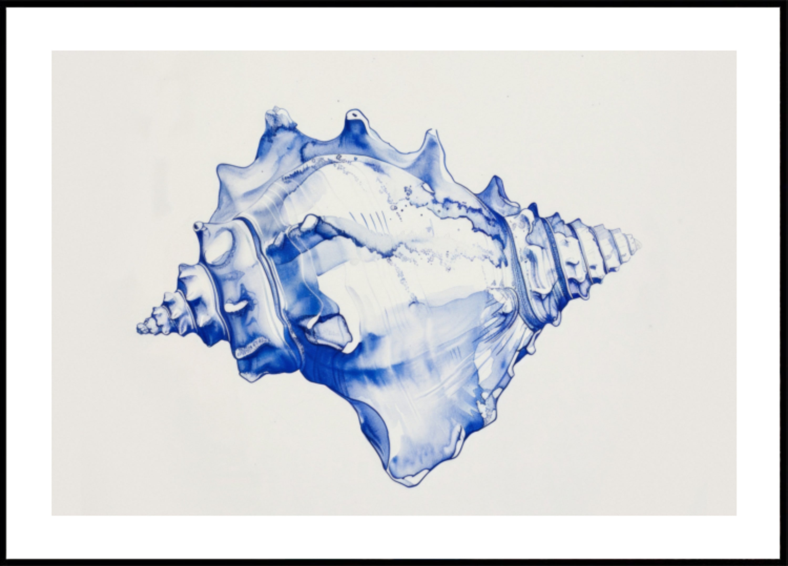 Armonia di conchiglia blu