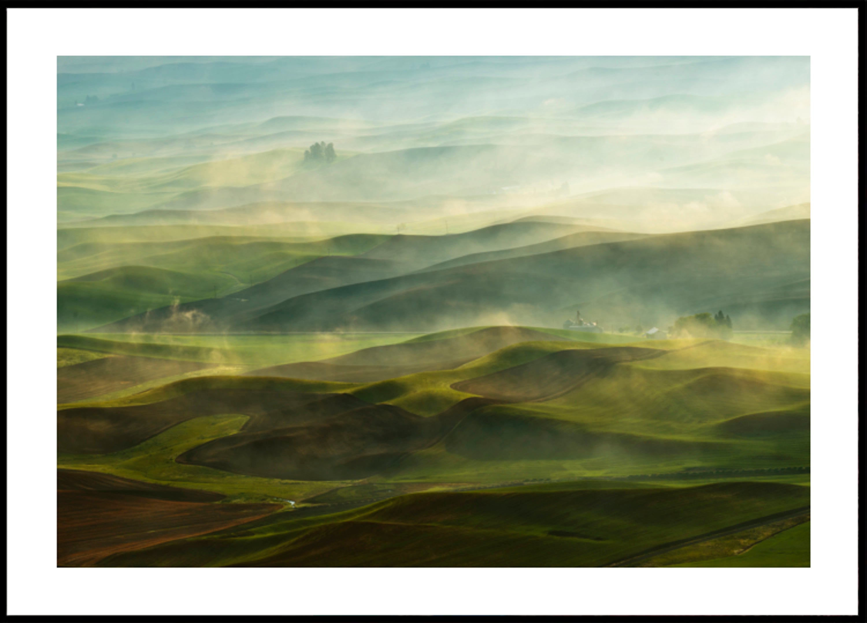 Colline dorate del mattino