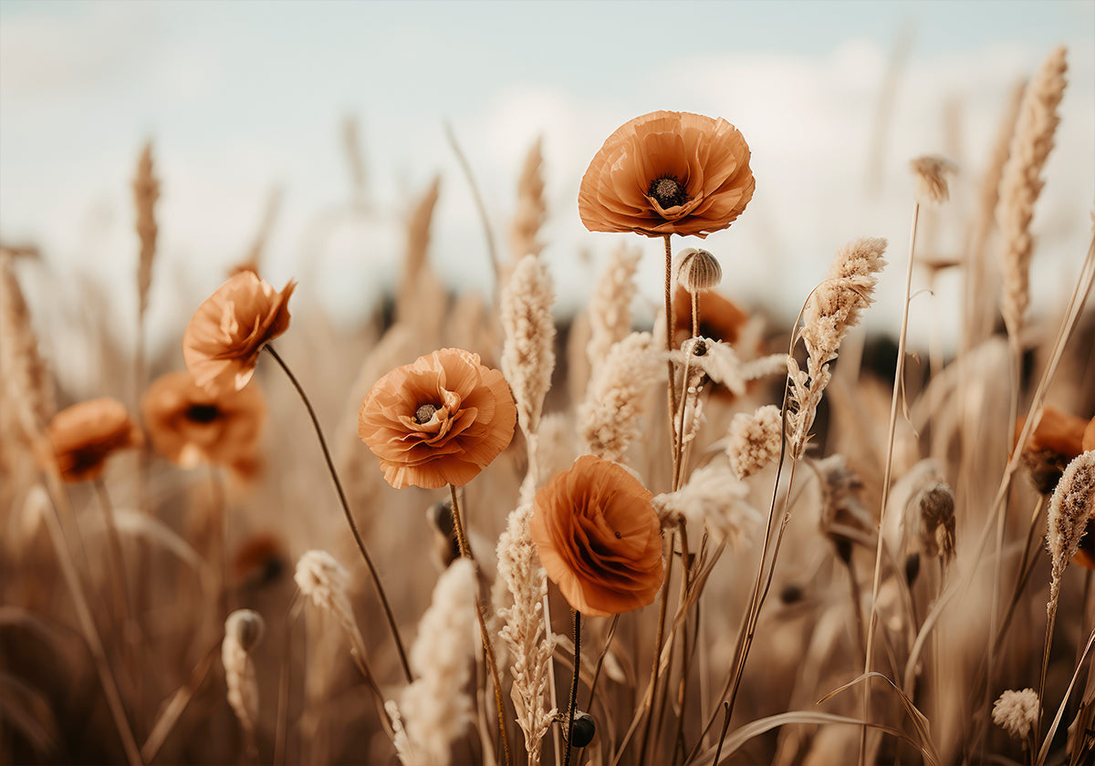 Poppies in Breeze - Posterbox