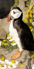 Puffin (NEW) - Posterbox